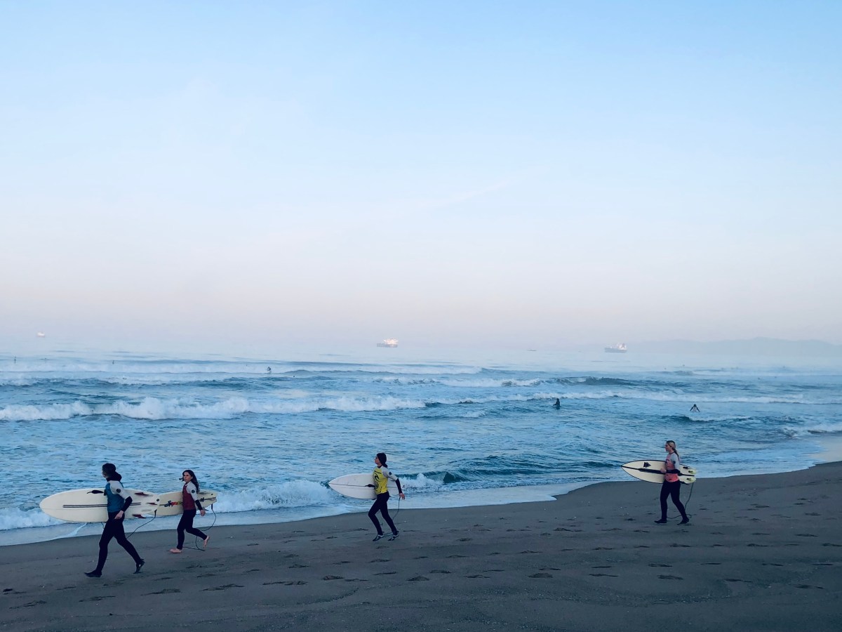 Surfers in the Pacific Ocean Need Info After Wildfires, Toxic Algal&nbsp;Blooms